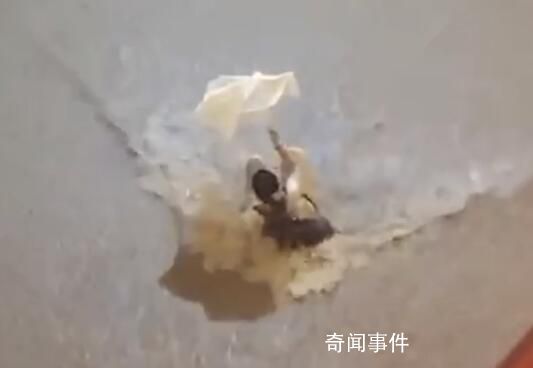 香港發黑色暴雨信號 有市民遇險