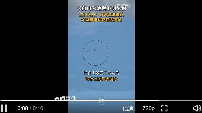 目擊者回應長白山天池現神秘生物 暫時沒法確認