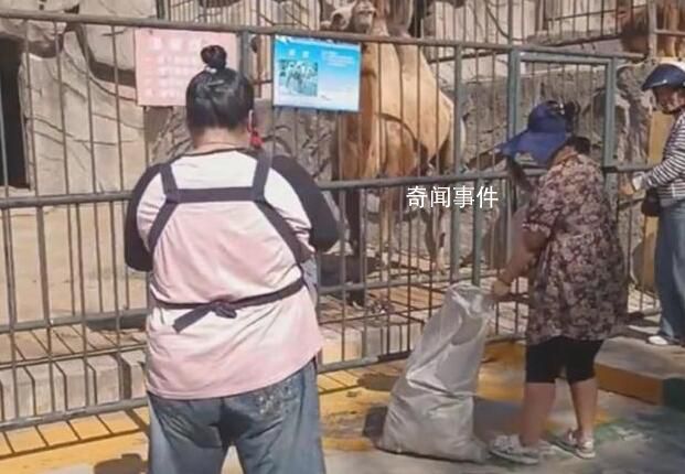 遼寧一動物園斷糧市民自發(fā)投喂 園內(nèi)存糧不多希望得到幫助