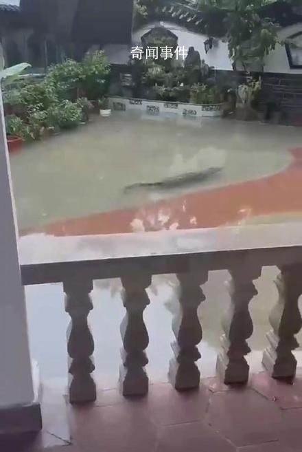 多條廣東暴雨相關(guān)傳言被辟謠 注意甄別