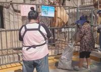 遼寧一動(dòng)物園斷糧市民自發(fā)投喂 園內(nèi)存糧不多希望得到幫助