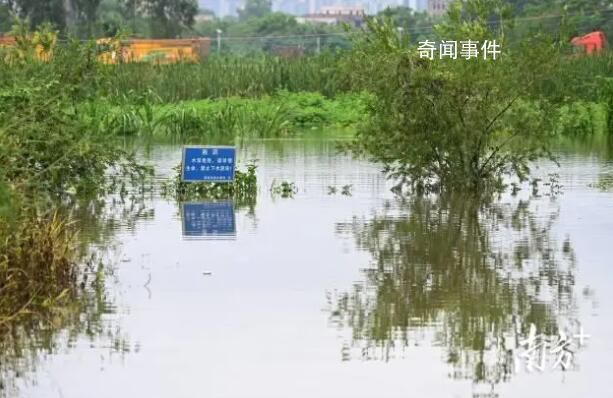養殖場疑多條鱷魚出逃 民兵稱將擊斃