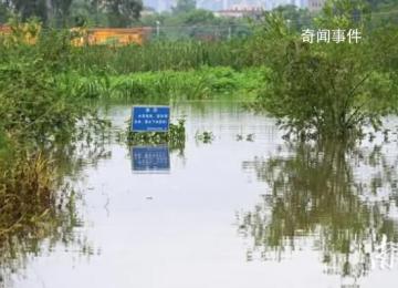 養殖場疑多條鱷魚出逃 民兵稱將擊斃