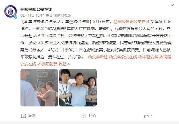 男子駕車進村偷狗被發現后棄車逃跑 案件在進一步辦理中