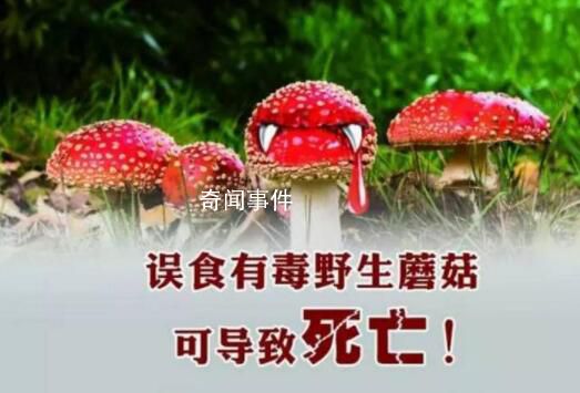 野蘑菇中毒多久有反應(yīng) 具體發(fā)作時間與蘑菇毒性程度有關(guān)