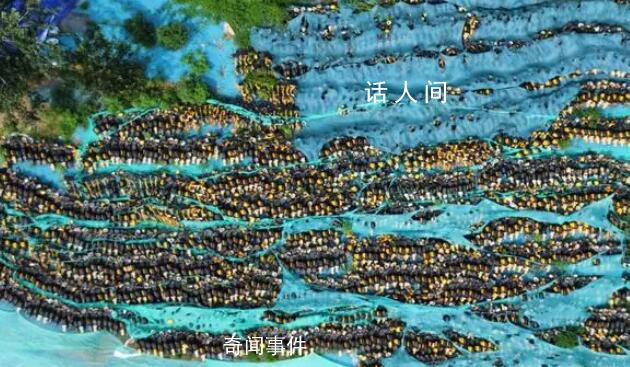 石家莊已至少形成4個“單車墳場”
