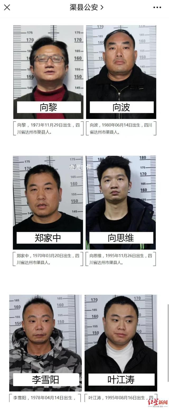 涉黑組織頭目曾是外國語學校校長 向黎個人資料簡介