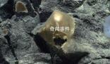 美國科學家在海底發(fā)現(xiàn)神秘金蛋 疑為未知生物所產(chǎn)