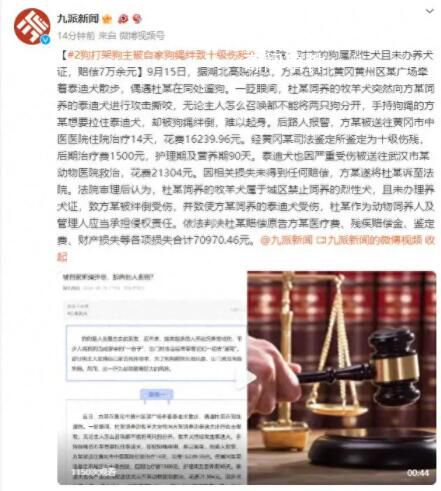 2狗打架主人被狗繩絆致十級傷殘 法院：對方賠償7萬余元