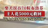 柴犬誤食70粒布洛芬主人花5千救回 好在之前催吐及時(shí)