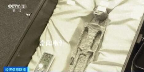 專家曾稱外星人不敢來地球 人類太危險了