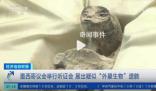 外星人?墨西哥國會(huì)揭曉非人類化石