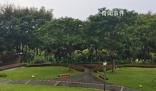 曝深圳一綠道網(wǎng)紅景點建完封閉三年 至今未再面向市民開放