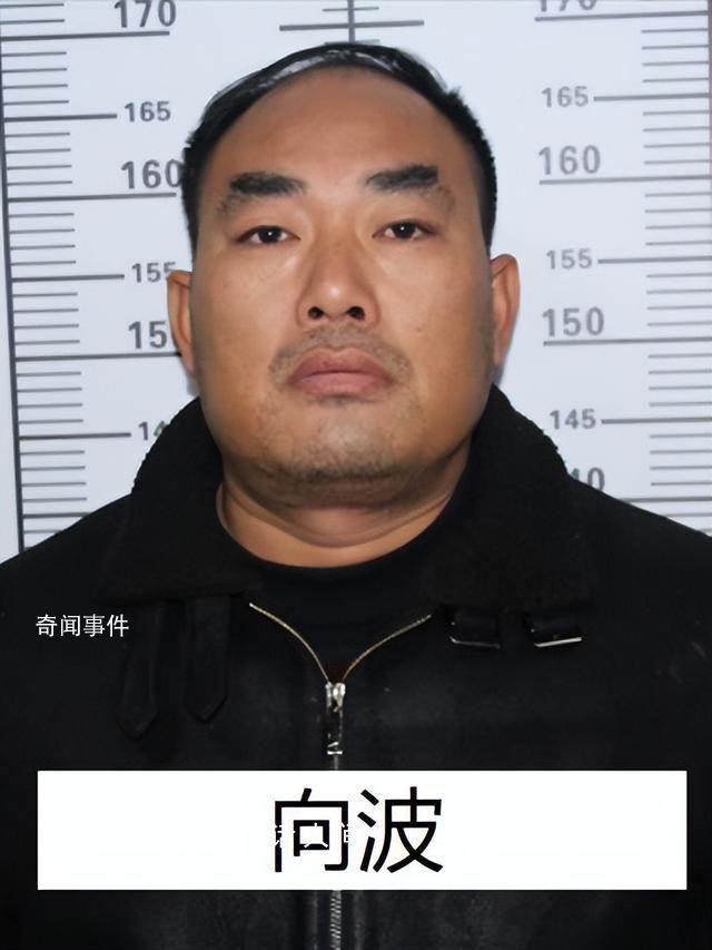 “黑老大”曾是校長 公安出手端了 向波個人資料介紹