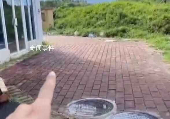 湛江4名男孩溺水身亡 3人是親兄弟