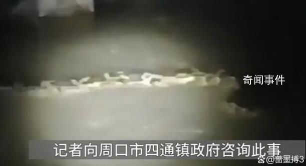 官方辟謠“河中發(fā)現(xiàn)巨型長蟲” 引起了很多人的關(guān)注