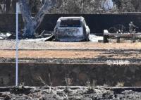 毛伊島大火死亡人數(shù)降至97人 確認失蹤人數(shù)目前為31人