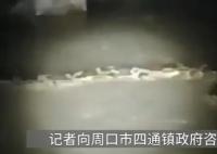 官方辟謠“河中發(fā)現(xiàn)巨型長蟲” 引起了很多人的關(guān)注