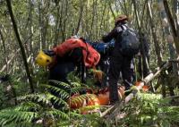 臺(tái)灣一登山團(tuán)遭蜂群攻擊2死9傷 實(shí)在是太可怕了