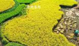 秋游鄉村賞“豐”景 節慶活動新亮點