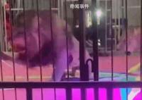黑龍江一馬戲團獅子突然撕咬員工 看著都心驚膽顫