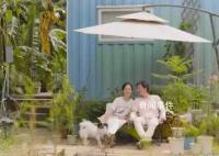 廣州夫妻把17㎡集裝箱當婚房 過上自給自足的田園生活