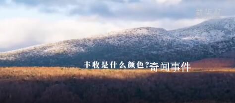 豐收里的中國色 盡顯中華韻味