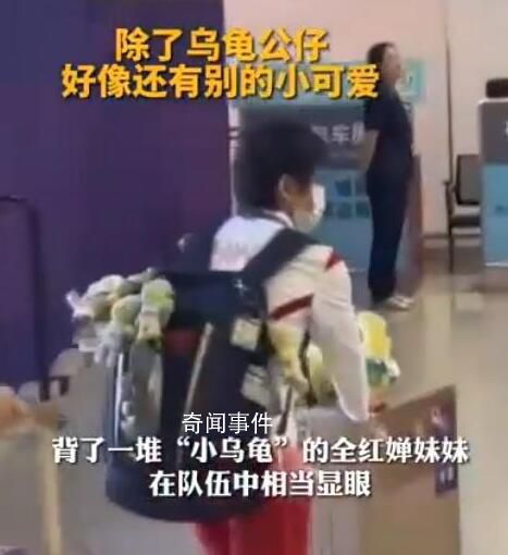 背了一堆小烏龜?shù)娜t嬋相當顯眼 引了眾多媒體和粉絲的目光