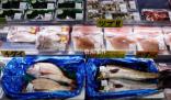 俄考慮限制日本水產品進口 俄羅斯對日本水產品進口限制勢在必行