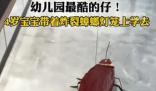 4歲寶寶帶著炸裂蟑螂燈籠上學去 網友：蟑燈結彩