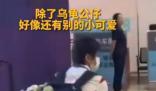背了一堆小烏龜的全紅嬋相當顯眼 引了眾多媒體和粉絲的目光