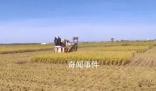 金秋農忙好“豐”景 重農固本安民之基