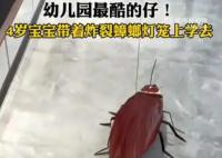 4歲寶寶帶著炸裂蟑螂燈籠上學去 網(wǎng)友：蟑燈結(jié)彩
