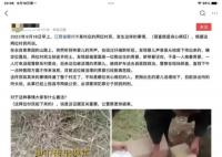 江西一村莊有人活埋嬰兒?謠言