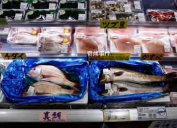 俄考慮限制日本水產品進口 俄羅斯對日本水產品進口限制勢在必行