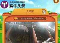 女子花8000元網上“云養”一頭豬 難預約因屠宰周期較長