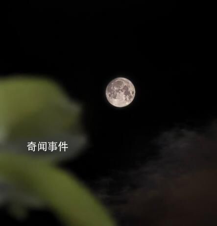 各地網友曬明月堪比攝影大賽 上演了超級月亮
