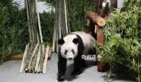 莫斯科行動文詠珊曝復(fù)古造型秘訣