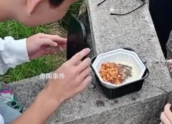 黃山游客被大學生志愿者熱情投喂 網友紛紛給小伙點贊