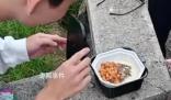 黃山游客被大學生志愿者熱情投喂 網友紛紛給小伙點贊