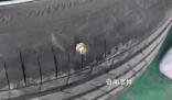 京哈高速上釘子灑落 數十輛車被扎