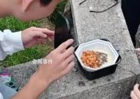 黃山游客被大學生志愿者熱情投喂 網友紛紛給小伙點贊