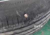 京哈高速上釘子灑落 數十輛車被扎
