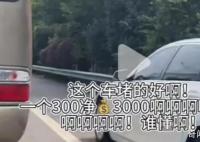 舉報高速違章1分鐘賺3000元?