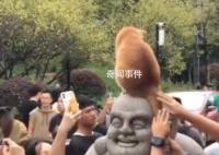 發現了雞鳴寺的頂流 吸引了大量游客圍觀和爭相合影