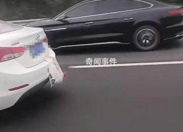 網(wǎng)友開(kāi)曬國(guó)慶返程后備箱 瓜果蔬菜各種土特產(chǎn)就連雞鴨都得掛車(chē)上