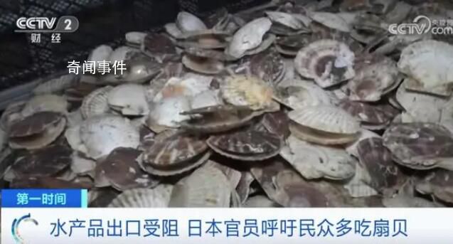 日官員呼吁民眾每人多吃5只扇貝 第一輪排海已經(jīng)給日本水產(chǎn)品出口帶來巨大負(fù)面影響