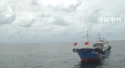 男子船上宰割鯨鯊?滬浙聯(lián)動(dòng)出擊