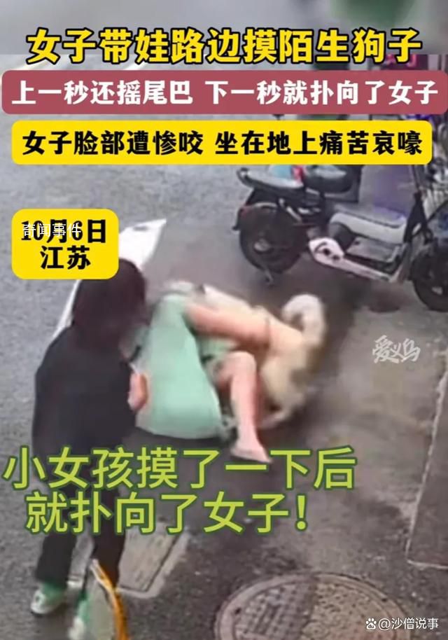 女子摸陌生狗面部慘遭撕咬 背后真相太恐怖了