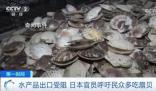 日官員呼吁民眾每人多吃5只扇貝 第一輪排海已經給日本水產品出口帶來巨大負面影響